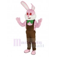 Robbie rose de Pâques Lapin Costume de mascotte Animal
