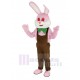 Robbie rose de Pâques Lapin Costume de mascotte Animal