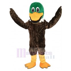 Canard colvert à tête verte Costume de mascotte Animal