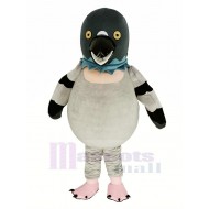 L'oiseau dodo Costume de mascotte Animal