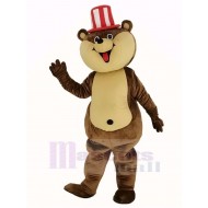 Huge Brown Teddy Bear Mascot Costume