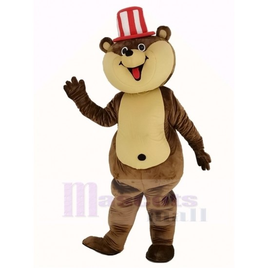 Riesiges Braun Teddybär Maskottchen Kostüm