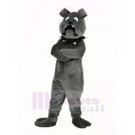 Fierce Grey Bulldog Mascot Costume Animal