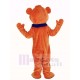 Orangefarbener Teddybär Maskottchen Kostüm
