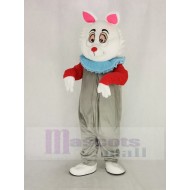 Easter Bunny Rabbit Mascot Costume In Wonderland in Gray Coat