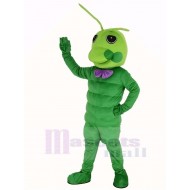Grüner Wurm Maskottchen Kostüm Tier