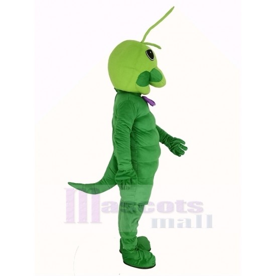 Grüner Wurm Maskottchen Kostüm Tier