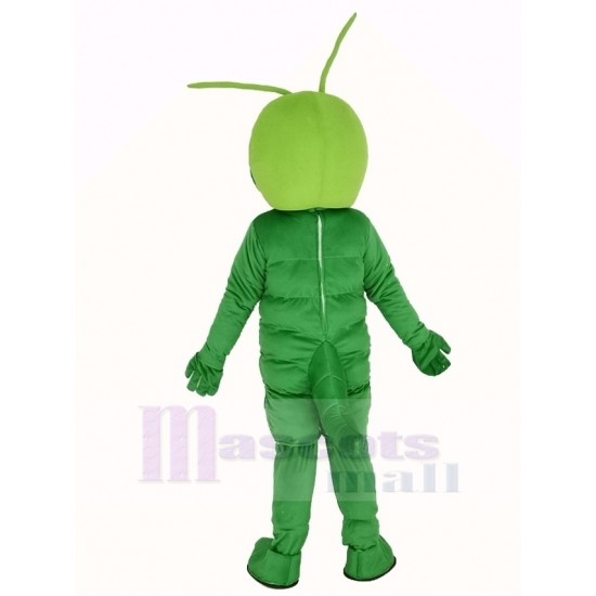 Ver vert Costume de mascotte Animal