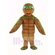 Grün und Braun Meer Schildkröte Maskottchen Kostüm Tier