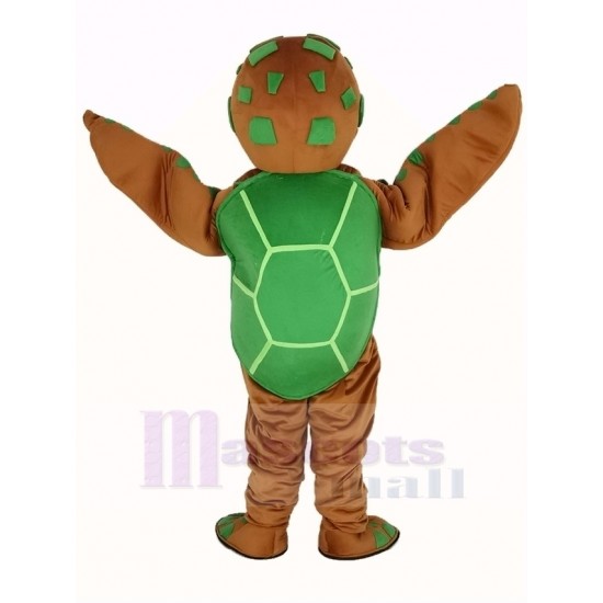 Verde y marrón Tortuga marina Disfraz de mascota Animal