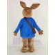Pedro Conejo Disfraz de mascota en abrigo azul Animal