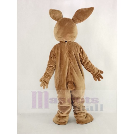 Peter Rabbit Mascot Costume Animal