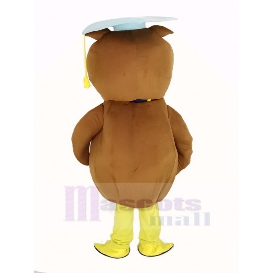 Docteur brun Chouette hibou Costume de mascotte avec casquette bleue Animal