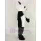 Panda de juguete Disfraz de mascota Animal