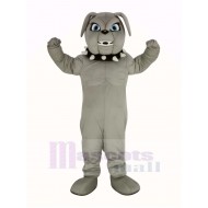 Gris mignon Bouledogue Costume de mascotte Animal