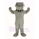 Cute Gray Bulldog Mascot Costume Animal