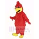coq rouge Costume de mascotte Animal