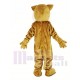 Cute Brown Bobcats Mascot Costume Animal