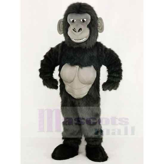 Gorila divertido Traje de la mascota Animal