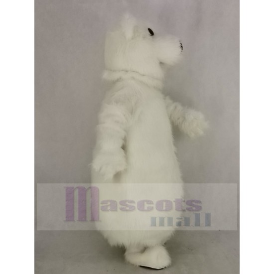 Riesenfett Eisbär Maskottchen Kostüm Tier