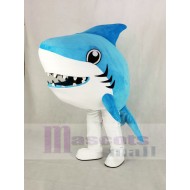 Cute Blue Whale Shark Mascot Costume