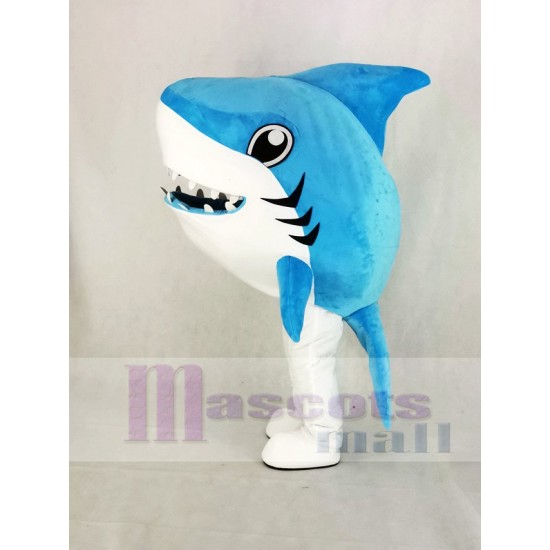 Lindo azul Tiburón ballena Disfraz de mascota