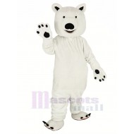 Small Eyes Polar Bear Mascot Costume Animal
