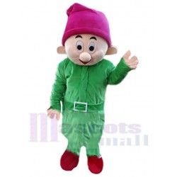 Green Dwarf Elf Mascot Costume Cartoon with Red Hat