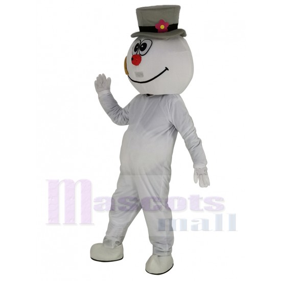 Bonhomme de neige givré Costume de mascotte Dessin animé