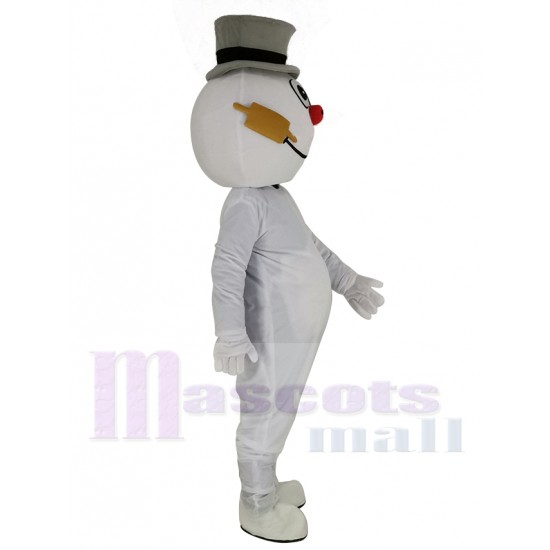 Muñeco de nieve helado Traje de la mascota Dibujos animados