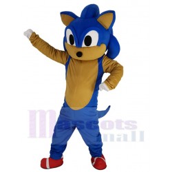 Blue Hedgehog Sonic Mascot Costume Cartoon