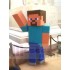 Minecraft-Steve Maskottchen-Kostüm Rolle bei Sandbox-Spielen Karikatur