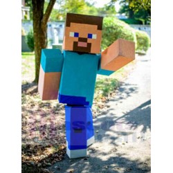 Minecraft Steve Mascot Costume Cartoon