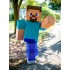 Steve Minecraft Mascotte Costume Dessin animé
