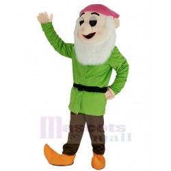 Dwarfs Mascot Costume in Green Coat