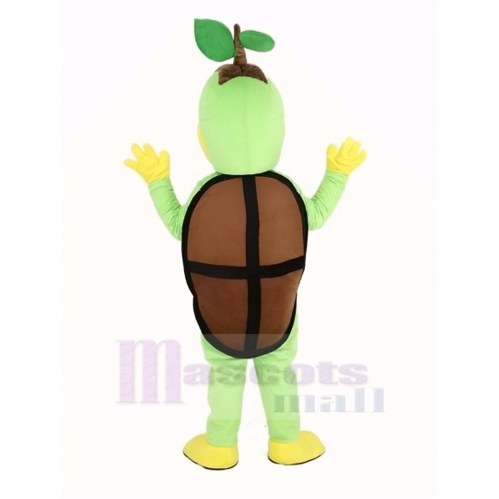 Turtwig Turtle Pokémon Pokemon Mascot Costume Cartoon