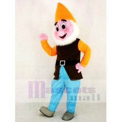 Cute Happy Cheerful Dwarfs Mascot Costume Cartoon