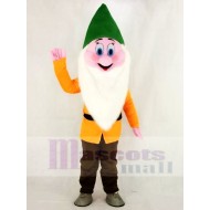Funny Bashful Shy Dwarfs Mascot Costume Cartoon