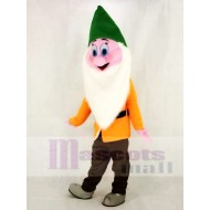 Funny Bashful Shy Dwarfs Mascot Costume Cartoon