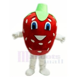 Fresa Disfraz de mascota Fruta Alimento Planta