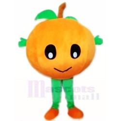 Baby Orange Mascot Costume