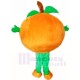 naranja bebe Disfraz de mascota