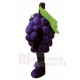 Grape Mascot Costumes Fruit Food Plant