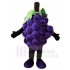 Raisin Mascotte Costume Fruit Nourriture Usine