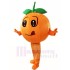Orange Mascotte Costume