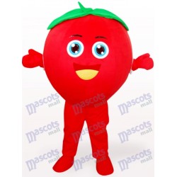 Tomate souriante Fruit Adulte Mascotte Costume