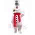 Lindo muñeco de nieve Disfraces de mascotas  dibujos animados navidad navidad