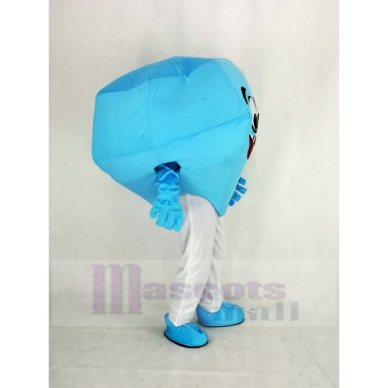 Blue Diamond Mascot Costume