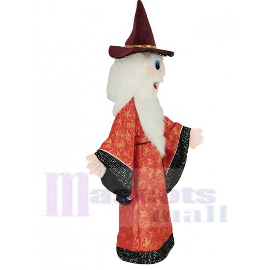 Sorcier Merlin Costume de mascotte Dessin animé