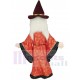 Sorcier Merlin Costume de mascotte Dessin animé